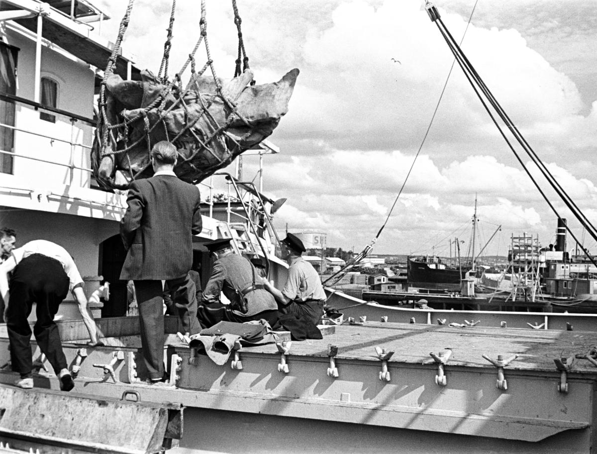 Sörnäisten satama 1950-luvulla. Kuva Helsingin kaupunginmuseo.
